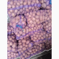 Продам картоплю