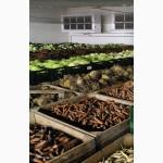 Guntner Agri-Cooler - воздухоохладитель для сельскохозяйственной продукции