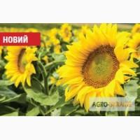 Продам Семена Подсолнечника НК Неома и Фламенко 2017