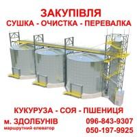 Куплю пшеницю, ячмінь, ріпак. Послуги елеватора