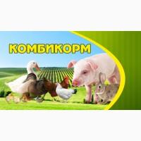 Комбикорм для птиц и животных