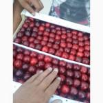 Черешня из Узбекистана