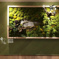 Стена из декоративного стабилизированного мха