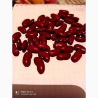 Продам фасоль красную и белую 1 и 2 форма