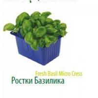 Продам микропобеги зелени