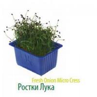 Продам микропобеги зелени