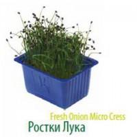 Продам микропобеги зелени