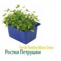 Продам микропобеги зелени