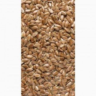 Продам посівний олійний льон, сорт Аквамарин