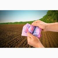 Візьму в оренду землю сг призначення, паї