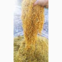 Купляйте тютюн Вірджінія, дюбек, махорка домашня тільки для насоящих мужиків