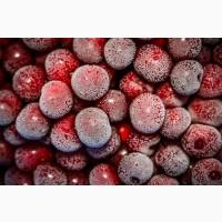 Продам морожену вишню з кісточкою