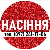Наcіння кукурудзи ДН Фієста (ФАО 260) від виробника