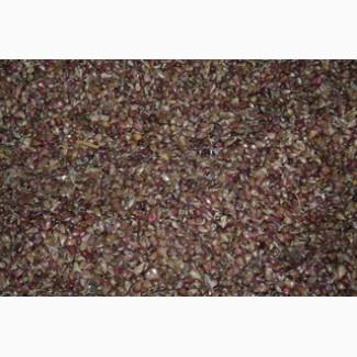 Повітряна кулька ВОЗДУШКА ЧАСНИКА насіння