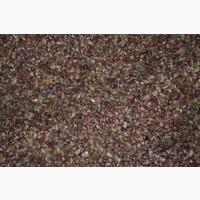 Повітряна кулька ВОЗДУШКА ЧАСНИКА насіння