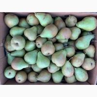 Продам Грушку Нояберська