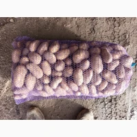 Продам картоплю сорту гранада