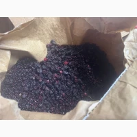 Продам ожину лісову