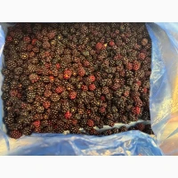 Продам ожину лісову