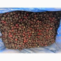 Продам ожину лісову