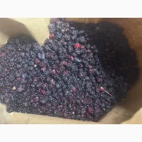 Продам ожину лісову