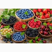 Купуємо ягоди по всій україні