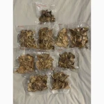 Продам червоний мухомор