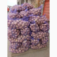 Продам товарну картоплю біла роса, більмоде, арізона, словянка