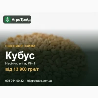 Купити насіння пшениці Кубус - еліта, РН-1, документи | від 13 900 грн/т
