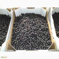 Продам ягоды чёрной смородины