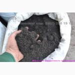 Чернозем Отрадный Академгородок Киев, купить грунт в мешках