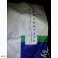 Кукурудза Syngenta, Неріса ФАО 200, насіння