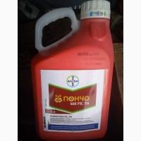 Пончо - протравник для насіння кукурудзи та соняшнику