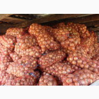 Продам лук