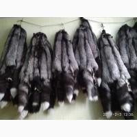 Шкуры чернобурки