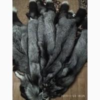 Шкуры чернобурки