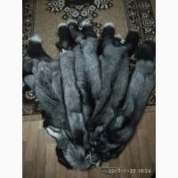 Шкуры чернобурки