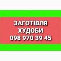 Заготовляємо ВРХ у Вінницькій, Хмельницькій, Житомирській, Черкаській області