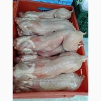 Продам мясо кролика на постоянной основе