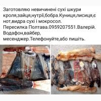 Куплю невичинені шкури кроля та інші