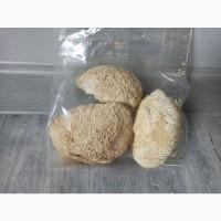 Лікувальні гриби оптом