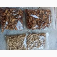 Лікувальні гриби оптом