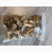 Лікувальні гриби оптом