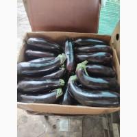 Продам баклажани