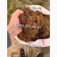 Ароматний та якісний тютюн Вірджинія, Берлі, Дюбек, Гавана, Вінстон, Кемел, Руно