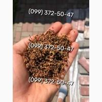 Ароматний та якісний тютюн Вірджинія, Берлі, Дюбек, Гавана, Вінстон, Кемел, Руно