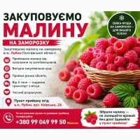 Закуповуємо малину на заморозку