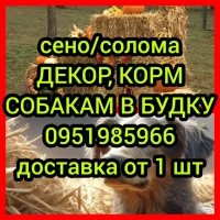 Сено солома для декора сіно в мешках, тюках. Доставка. Качество. Большие объёмы