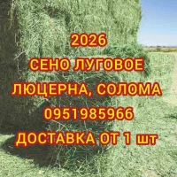 Продам сено луговое, сено люцерны с доставкой