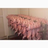 Продам действующий прибыльный бизнес
